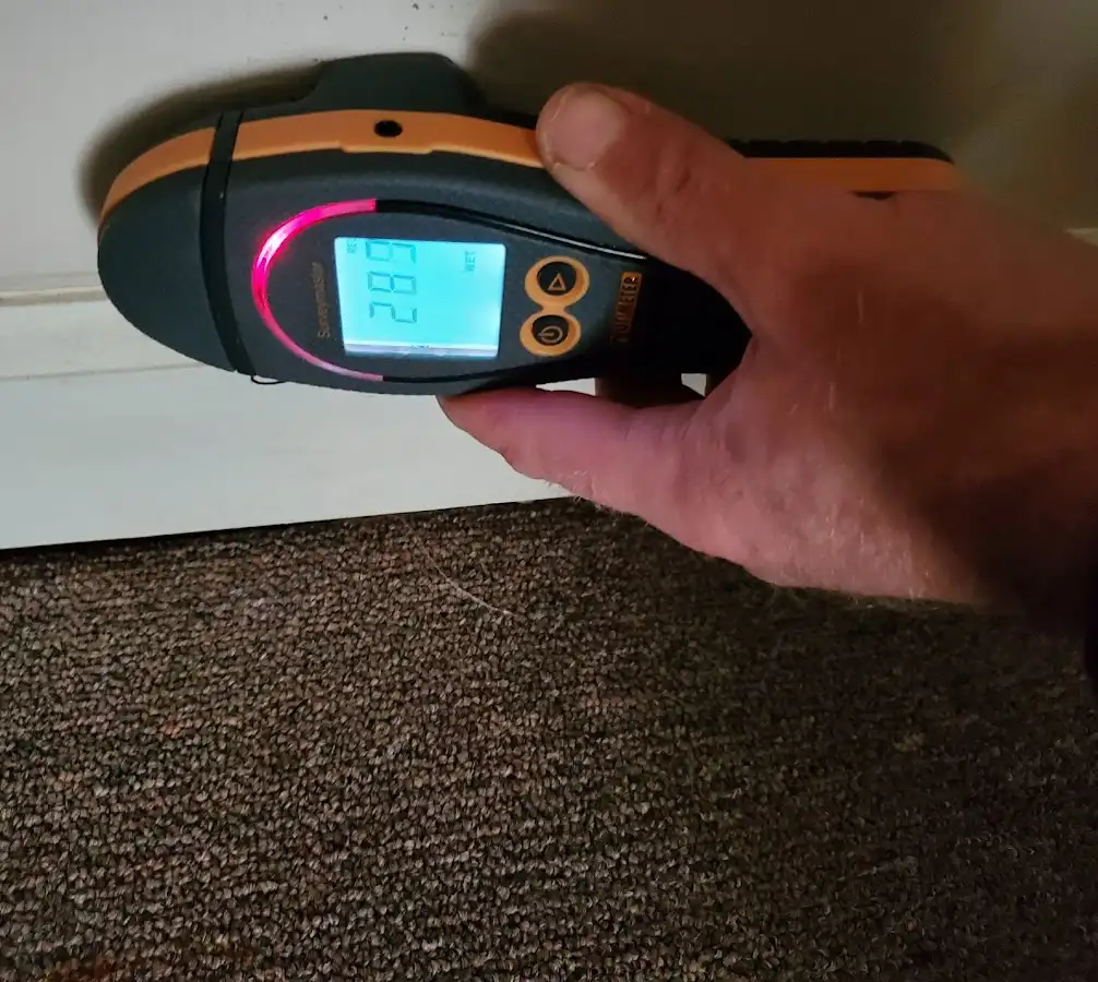 Moisture detection at baseboard during Mold Inspection & Testing in South Middleton